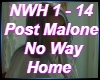 No Way Home Post Malone