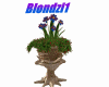 Plant Flower