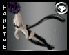 Hm*Fetish Kitten Tail