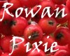 Rowan Pixie Berry Crown