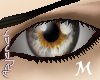 [apj] eye 41 M