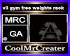 v3 gym free weights rack