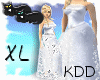 *KDD XL Perfect Day