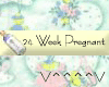 24 Weeks Pregnant (y)