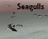 Seagulls Anim