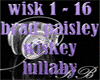 brad paisley: wiskey lu
