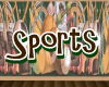 SPORTS BABY ROOM
