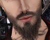 T. Beard Blond Long