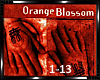 *Orange Blossom Live