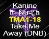 KANINE TAKE ME AWAY DNB