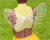 bee wings