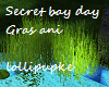 Secret bay Day Gras