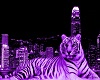 Purple  Tiger  Club