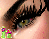 HTe Eyelashes natural