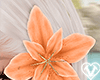 🤍 Rosie Flower Orange