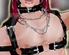 Harness