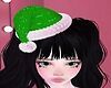 𝓩| Santa hat Green