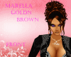 ~LB~Marella Goldn Brown