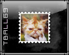 Kitty Bad Hair Day Stamp