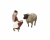 Animated Sheep Animal