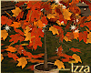 Fall Lighted Tree