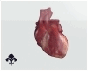 Real Heart M/F