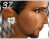 3Z:D&G Skull earrings