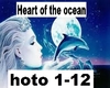 Heart of the ocean remix