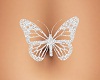 SL Butterfly Belly Anim
