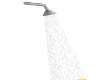 Shower Head Ani w/Trig