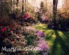 Mystical Garden Bench