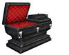 Old Casket for Two