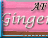 [AF]Ginger Petbed