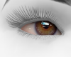 Caramel Eyes