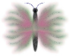 Pastel Butterfly
