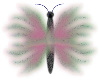 Pastel Butterfly