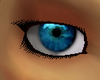 Aqua Blue Eyes [F]