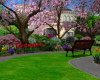 The Garden