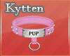 -K- Pup Pink Collar