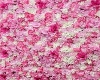 Pink Floral Wall