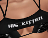 SD | His Kitten
