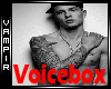 [VP]Sexy Male Voicebox