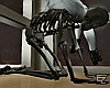ϟ Skeleton Chair