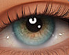 ✔ Eyes