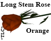 *TLC*LongStemRose Orange