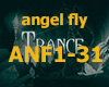 angel fly