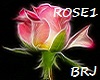 Dj Particle PINK ROSE
