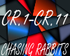 chasing rabbits