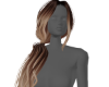 *Blonde Ombre Ponytail