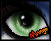-DM- Spund Eyes